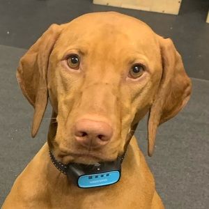 Meet your Posher, Jeffrey